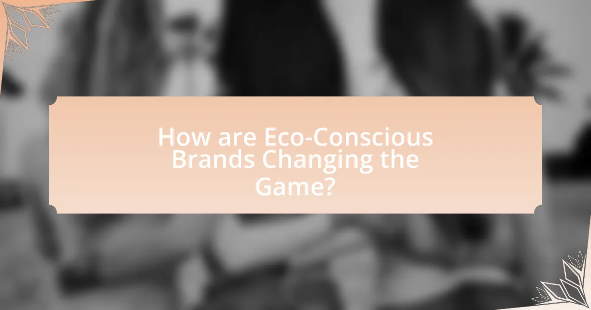 How are Eco-Conscious Brands Changing the Game?